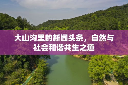 大山沟里的新闻头条，自然与社会和谐共生之道