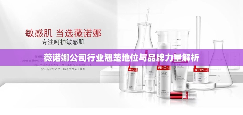 薇诺娜公司行业翘楚地位与品牌力量解析