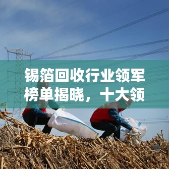 锡箔回收行业领军榜单揭晓，十大领先企业荣耀上榜