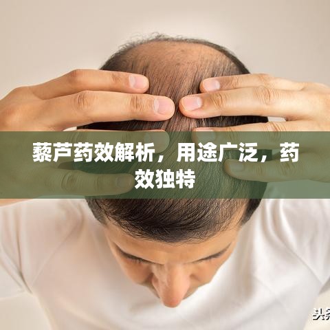 尊道贵德