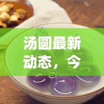 汤圆最新动态，今日关注揭秘独家消息视频