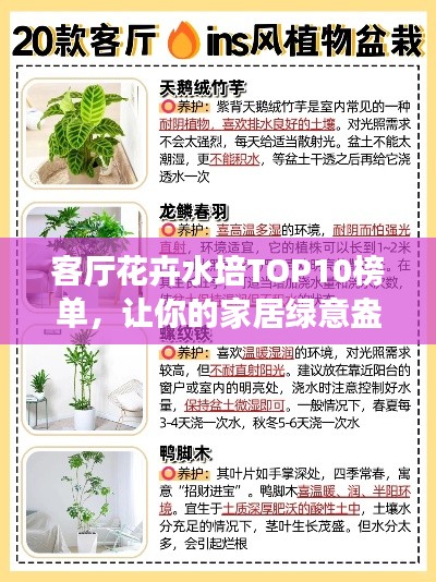 客厅花卉水培TOP10榜单，让你的家居绿意盎然！