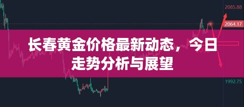 长春黄金价格最新动态，今日走势分析与展望