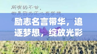 励志名言带华，追逐梦想，绽放光彩
