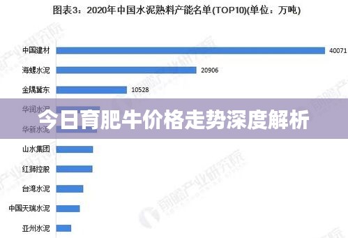 今日育肥牛价格走势深度解析