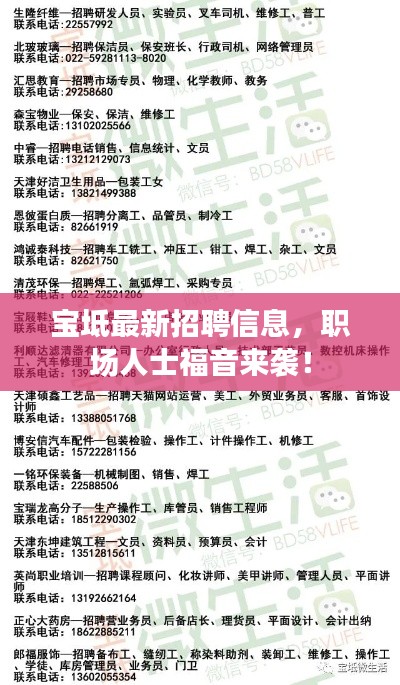 宝坻最新招聘信息，职场人士福音来袭！