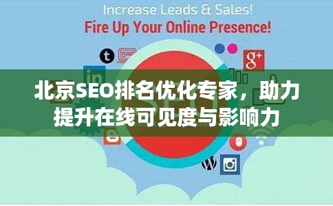 北京SEO排名优化专家，助力提升在线可见度与影响力