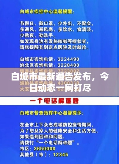 白城市最新通告发布，今日动态一网打尽