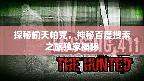 探秘偷天帕克，神秘百度搜索之旅独家揭秘