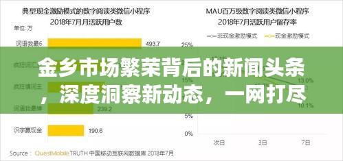 金乡市场繁荣背后的新闻头条，深度洞察新动态，一网打尽最新资讯