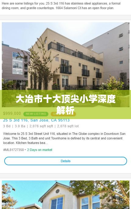 大冶市十大顶尖小学深度解析