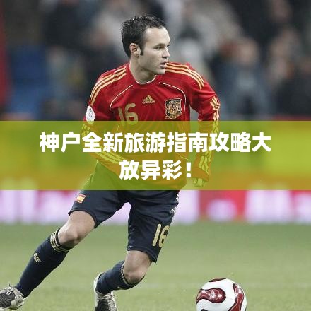 神户全新旅游指南攻略大放异彩！