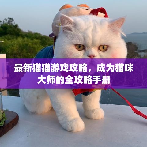 最新猫猫游戏攻略，成为猫咪大师的全攻略手册