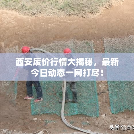 西安废价行情大揭秘，最新今日动态一网打尽！