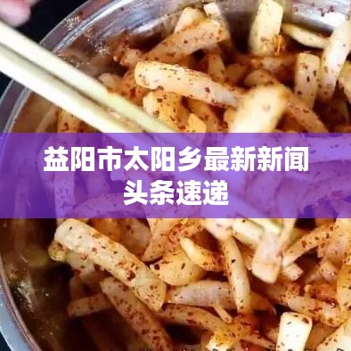 益阳市太阳乡最新新闻头条速递
