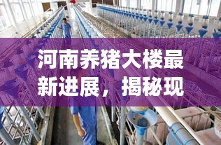 联系我们﻿﻿ 第17页