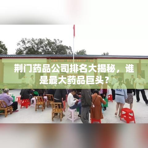 荆门药品公司排名大揭秘，谁是最大药品巨头？