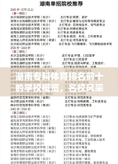湖南专科体育排名前十的学校概览，名校风采一览无余