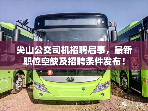 尖山公交司机招聘启事，最新职位空缺及招聘条件发布！