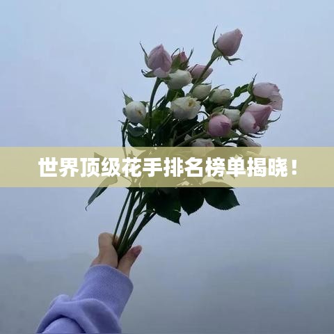 世界顶级花手排名榜单揭晓！