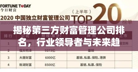 揭秘第三方财富管理公司排名，行业领导者与未来趋势展望