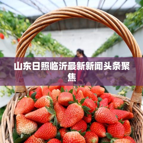 山东日照临沂最新新闻头条聚焦