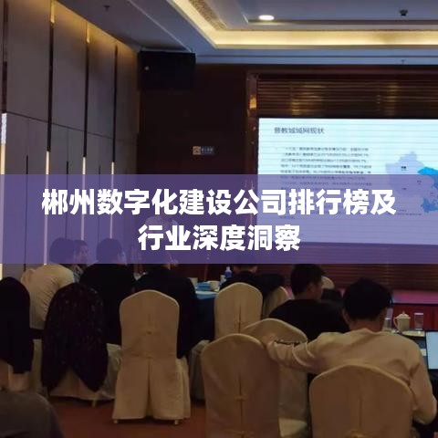 郴州数字化建设公司排行榜及行业深度洞察