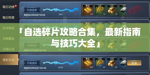 「自选碎片攻略合集，最新指南与技巧大全」