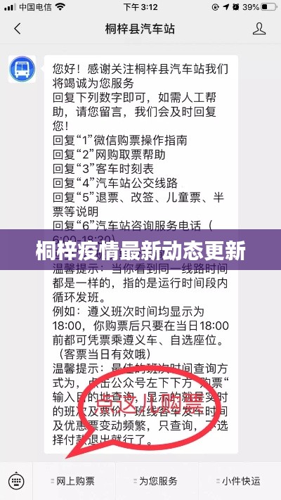 桐梓疫情最新动态更新