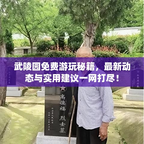 武陵园免费游玩秘籍，最新动态与实用建议一网打尽！