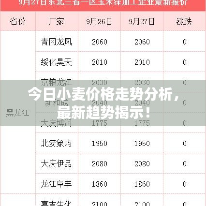 今日小麦价格走势分析，最新趋势揭示！