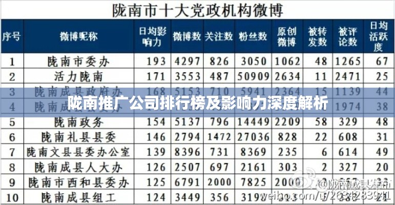 陇南推广公司排行榜及影响力深度解析