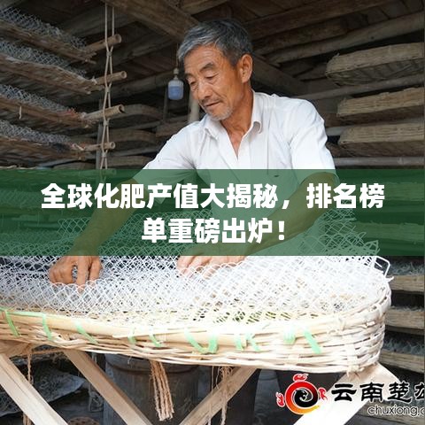 全球化肥产值大揭秘，排名榜单重磅出炉！
