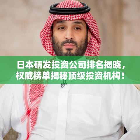 日本研发投资公司排名揭晓，权威榜单揭秘顶级投资机构！