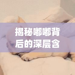 揭秘嘟嘟背后的深层含义，百度带你开启探索之旅！