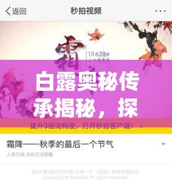 白露奥秘传承揭秘，探寻千年节气之美