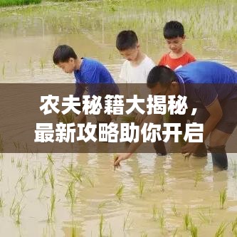 农夫秘籍大揭秘，最新攻略助你开启丰收之旅，掌握农田秘籍！