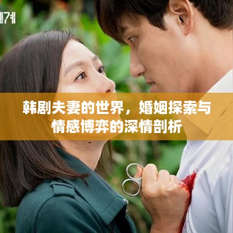 韩剧夫妻的世界，婚姻探索与情感博弈的深情剖析
