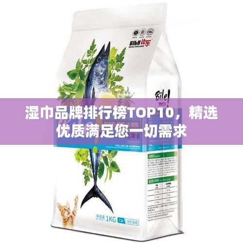 湿巾品牌排行榜TOP10，精选优质满足您一切需求