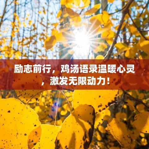 励志前行，鸡汤语录温暖心灵，激发无限动力！
