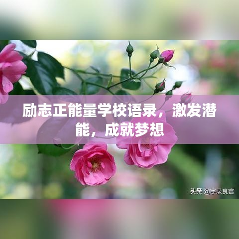励志正能量学校语录，激发潜能，成就梦想