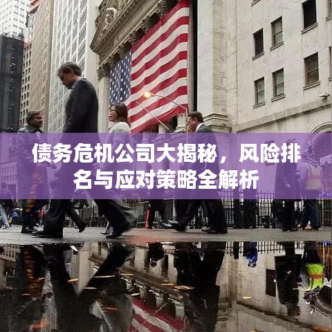 债务危机公司大揭秘，风险排名与应对策略全解析
