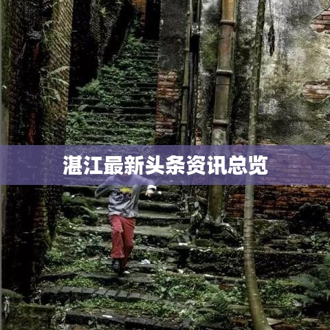 业务体系 第13页