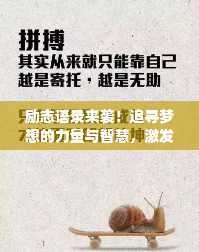免责声明 第15页