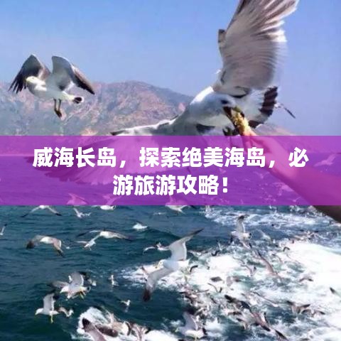 联系我们﻿﻿ 第13页