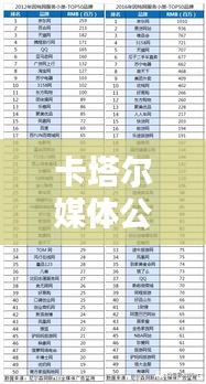 卡塔尔媒体公司排名及影响力解析，洞悉中东传媒巨头实力
