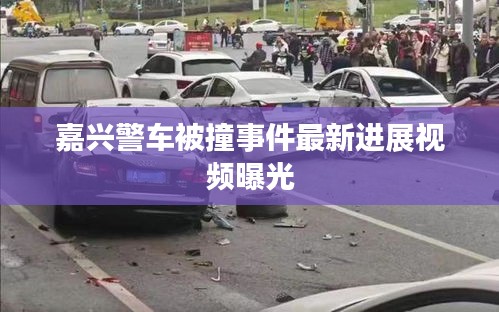 嘉兴警车被撞事件最新进展视频曝光
