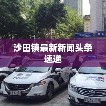 沙田镇最新新闻头条速递