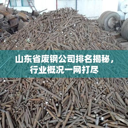 山东省废钢公司排名揭秘，行业概况一网打尽