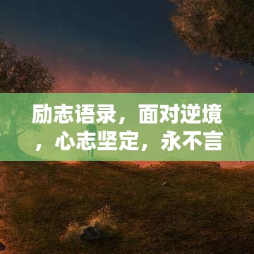 成功案例 第12页